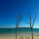 Savannah Beach, Ambatomilo