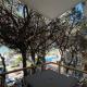 Sea View Studio Apartment, Golem, Mali i Robit, Golem (fotografie 8)