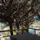 Sea View Studio Apartment, Golem, Mali i Robit, Golem