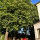 Nostress77, Garching an der Alz - Foto 7