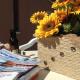 Pleasant seaside accommodation in Rosolina Mare, Rosolina Mare (fotografie 7)