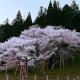 Sou - Vacation STAY 12879v Takayama - Foto 9