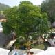 Casa Blanca, Santa Cruz - Huatulco (foto 10)