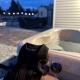 Jacuzzi, game room near Lassen and Hat Creek, Burney - Fotografie 3