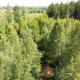 Natur pur im Tipi -Dein Rückzugsort in Schwedens Wildnis, Arvika (fotografie 5)