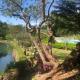 Quinta de Barbêdo - Turismo Rural, Канисада (фото 8)