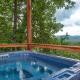 Splash Mountain By Avada Properties Sevierville - Photo 1