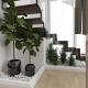 Ajan's Guesthouse, Tirana - Photo 8