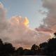 Tree House Treasure, Tarpon Springs (foto 9)