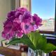 Chez Louise, free wi-fi & 5 minutes from InalpiArena, Turin - Photo 8