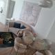 Apartament GABI, Świdnica (foto 2)