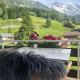 Guest Rooms with a great view at Residence Brunner Wengen - Foto 10