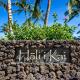 Halii Kai 20F Waikoloa - Fotografie 8