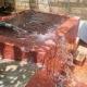 Yarl Nest, Jaffna (foto 5)