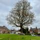 Ash Cottage, Tollerton (foto 6)