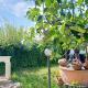 Villa Antonina 2, Crecchio (photo 7)