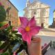 B&B Camere La Vite, Pienza (zdjęcie 5)