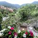 Garden Villa by the sea, Mesco 60 Monterosso al Mare - Photo 10