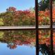 Sky Tree INN Ⅱ（晴樹宿Ⅱ）, Tokio - Fotografie 7