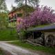 B&B Pian Savin, Giaveno (fotografie 6)