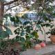 İstanbul Dragos Holiday Villa 5 Rooms 4 Baths Pines Sea Views, Pool Quiet and Stunning, Istanbul - Foto 7