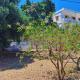 Blue Acacia in Alinda Leros, Alinda (foto 8)