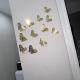 Trinacria Home 116, Catania (foto 4)