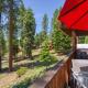 Wooded Escape in Tahoe Vista Private Hot Tub, Tahoe Vista - Fotografie 4