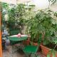 Nuovissimo monolocale con cucina e terrazzo, Milán - Fotografie 9
