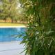 White Olive Villas, Santarém (photo 7)