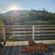 Ferienwohnung Bergblick mit Balkon und Garten - familienfreundlich, Heringhausen (fotografie 8)