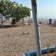 Camping Gourogo, Nador (zdjęcie 7)