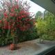 Single House, Vila Real (fotografie 6)
