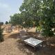 Camping Gourogo, Nador (zdjęcie 5)