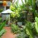 Tropical Home Villa, Hoi An - Fotografie 6
