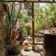 La Stanzetta Rooms & Garden, Casal Velino (Foto 10)