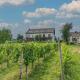 Weingut HermesLex, Trittenheim - Fotografie 2