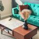 Stylish Mid-Wilshire Apt, Free Parking, Gucci Art, 10mins to Cedars, Los Angeles - Zdjęcie 9