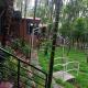 Dandeli redstone cottages, Dandeli (photo 2)