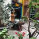 Ở Mô hostel HD, Da Lat