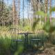 Ten Mały Domek, Ciwoniuki - Foto 6