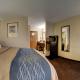 Comfort Inn & Suites La Grange - Louisville Area, La Grange (фото 3)