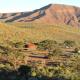 Aubures Camp