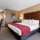 Comfort Inn & Suites Cooperstown - Milford, Cooperstown (fotografie 7)
