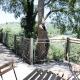 The Olive Tree, San Valentino (фото 2)