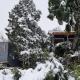 Tiny House de montaña, San Martín de los Andes (foto 3)
