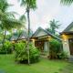 Live at Serendipity Wellness Villas Ubud - Photo 10
