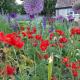 Huberts,, Wedmore (fotografie 4)