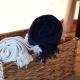 Peak View Glamping Tent, Draycott (fotografie 8)