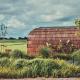 Nest - luxe wellness met privé sauna in Friesland, Luxwoude